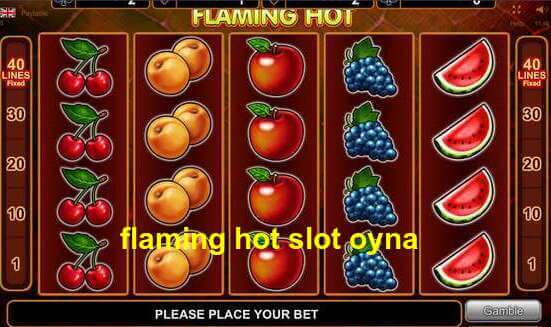 flaming hot slot oyna